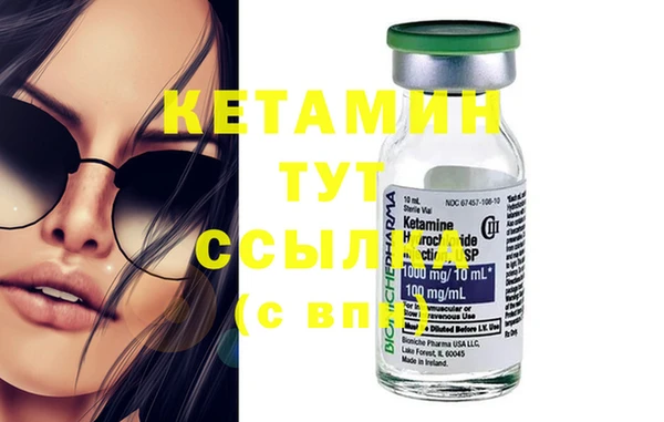сатива Пересвет