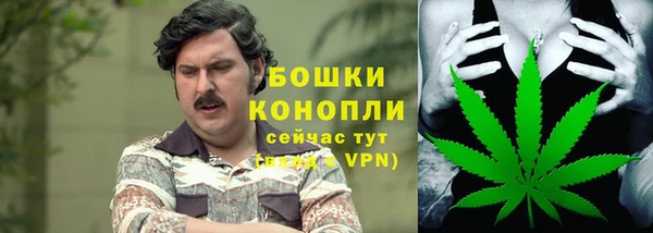 стафф Осинники
