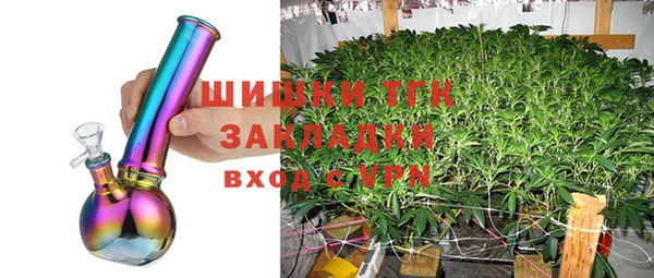 стафф Осинники