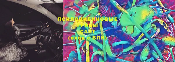 стафф Осинники