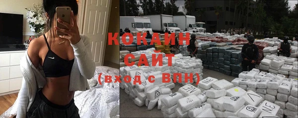 стафф Осинники